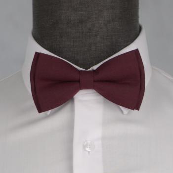 Бабочка мужская 0004-1