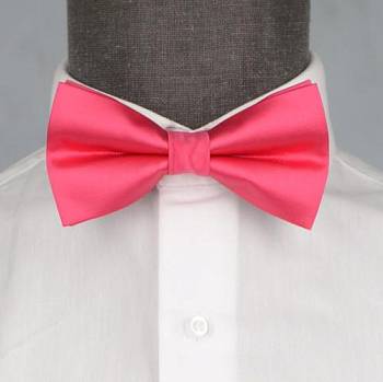 Бабочка мужская 0182