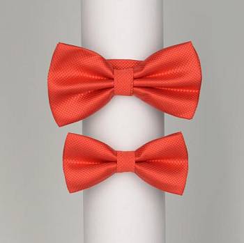 Бабочки FamilyLook 0002